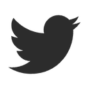 X (Twitter)