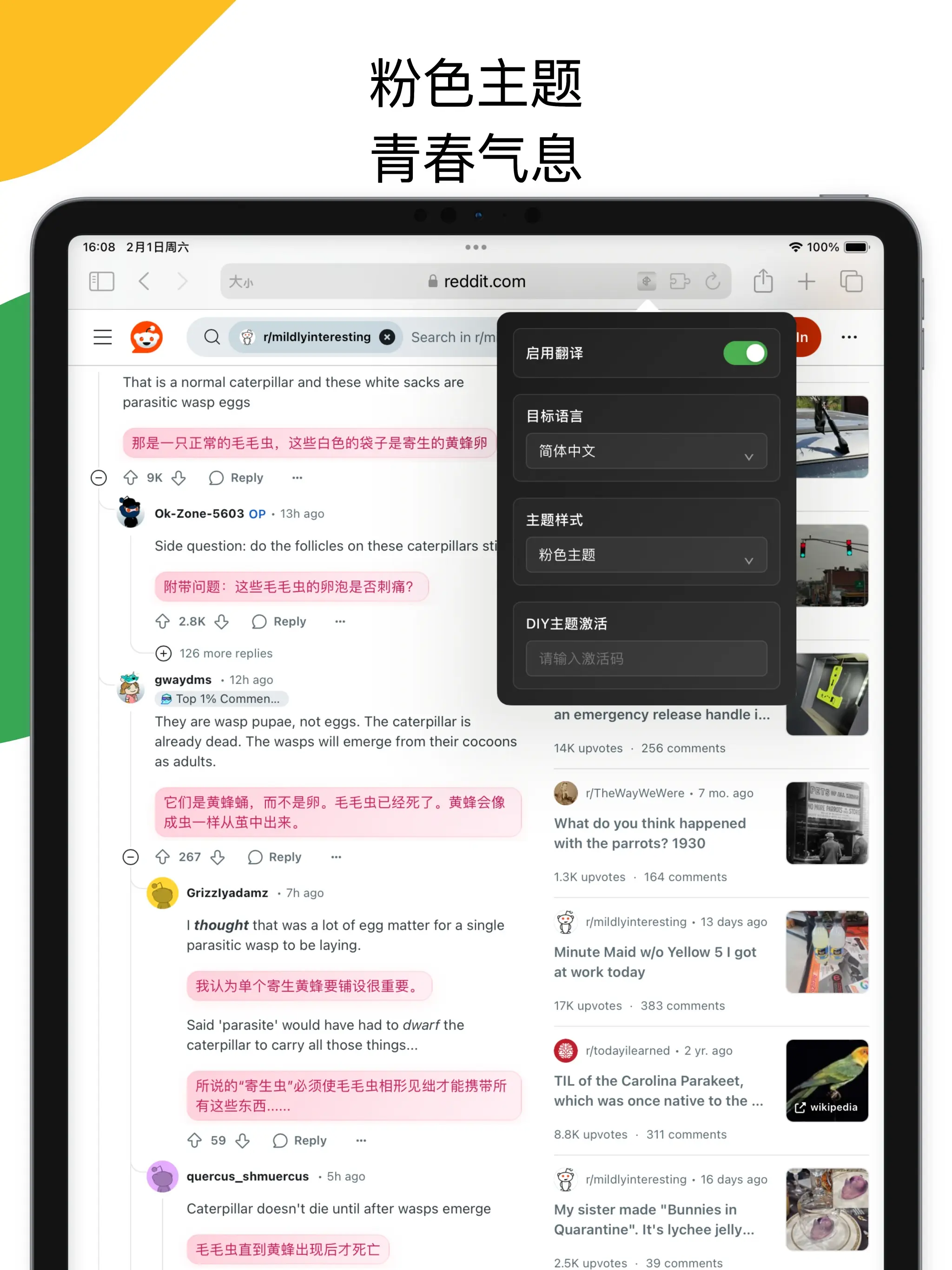 BilangPage on iPad