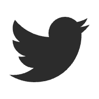 X (Twitter)